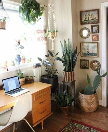 plantas para home office