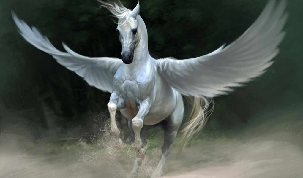 pegasus