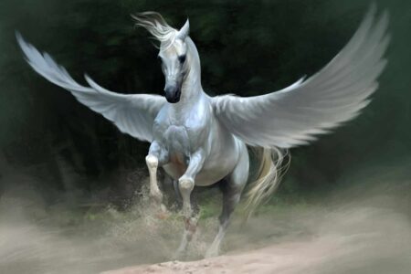 pegasus